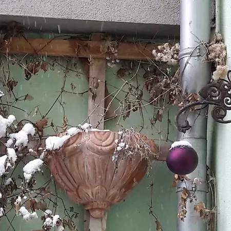 Zum Kleinen Riesen Erfurt