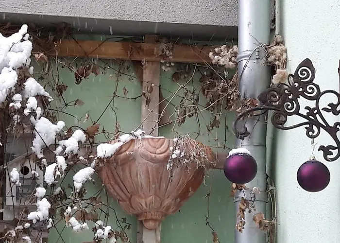 Zum Kleinen Riesen Erfurt